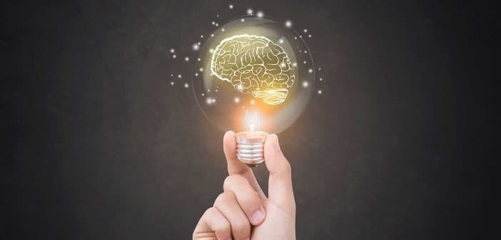 Membaca Stigma Skor 78 Bagi Rata-Rata IQ Bangsa Indonesia