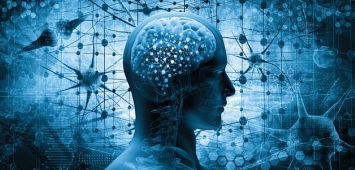 Neocortex War