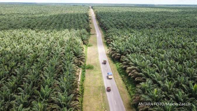 Undang-Undang Anti-Deforestasi: Skema Neokolonialisme AS-Uni Eropa Berkedok Isu Perlindungan Lingkungan Hidup
